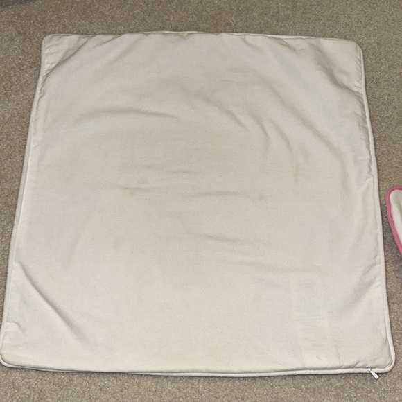 Pottery Barn Teen “Roam” 18” pillow cover - Picture 2 of 3